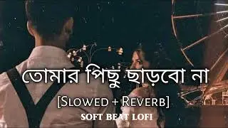 তোমার পিছু ছাড়বো না || Tomar Pichu Charbo Na || Nahid Hassan || Lyrics Video