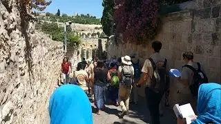Voici Celui qui vient au nom du Seigneur - par les pèlerins du diocèse de Pontoise