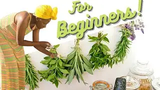 How To Start Your Own Apothecary At Home!