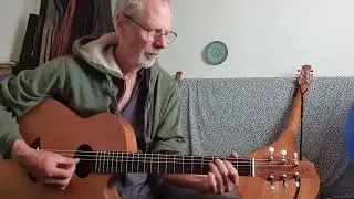 Brauchli cutaway guitar with carbon/nylon strings