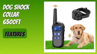 REVIEW (2025): Dog Shock Collar 6500ft. Features