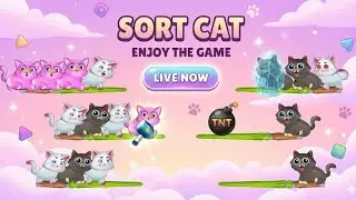 Live sort cat 16