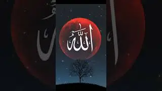 NEW NATT 2024 #newnatt2024 #beautifulnatt #allah #virelmyvideo #newchennal #natt