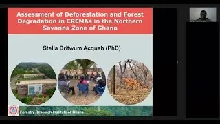 Webinar of IUFRO Research Group 4.01.00 - Forest mensuration and modelling; 24 October 2023