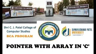 SCJPCCS - POINTER WITH ARRAY