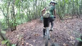 Basic roots
