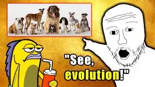 The #1 Logical Fallacy Evolutionists Make