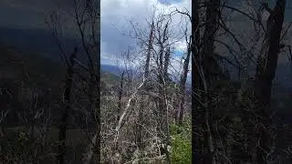 5/14/24 hike Arizona/New Mexico border area #nature #sky #hiking #video #mountains #arizona #trees