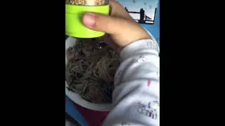 Handy sesame grinder