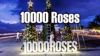 Cebu Date Night: 10,000 Roses Cafe is a MUST VISIT!