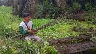 PASANG TAJUR DISAAT AIR MULAY KEMARAU