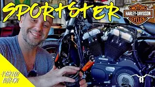 Sportster - troca de óleo / filtro e óleo da primaria para todas do jeito certo.