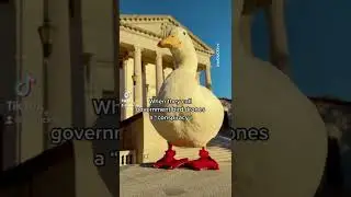 Birds Aren&rsquo;t Real