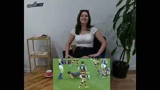 Favourite Delisted Player - Crowject Player Profiles