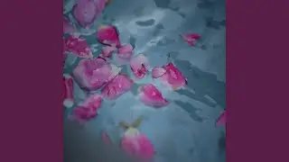 Centaurium