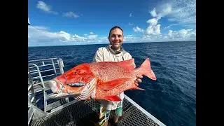 Swains Reef Kanimbla Charters 2024