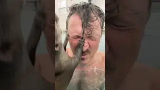 Плавание с выдрами!