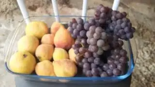 22- 12- 2025   colheita de frutas no meu quintal 