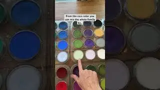 How My PanPastels Are Organized & Learn How They Are Structured #panpastel #softpasteltutorial