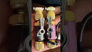 V&aacute;lvula Appion