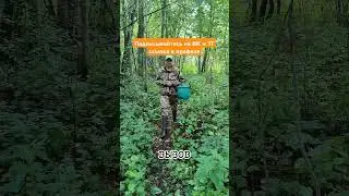 семейная мастерской деревянный ларец