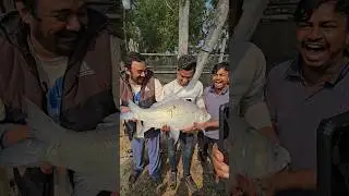 Big Katla Fish🐟🐟 #fishing #shortsvideo
