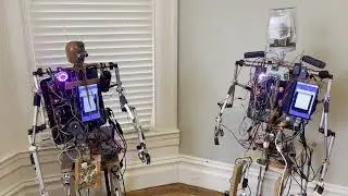 Autonomous Robots Discussing Therapy Dogs