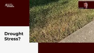 NTMWD Lunch and Learn:  Sprinkler Secrets &ndash; What the Spray!