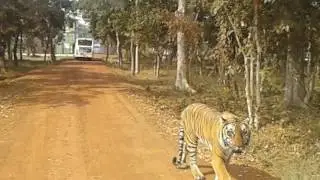 रायपुर जंगल सफारी