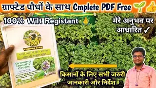 100% विल्ट प्रतिरोधि पौधों के साथ Complete PDF फ्री🌱👍  Grafted Plant with complete PDF guidance ✌️👆