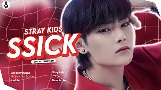 Stray Kids(스트레이 키즈) 