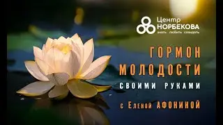 Открытый вебинар с Еленой Афониной 