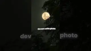 Love story - indila Nature's beauty 🥀#moonlight💕 #4kstatus #shorts
