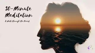 Guided Meditation:  A Walk Through the Forest