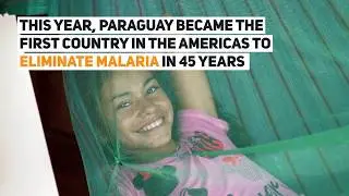 2018 World Malaria Report: The Takeway