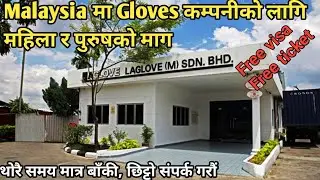 Male and female demand for gloves company in Malaysia 2022 | Top glove #job #jobupdate #malaysia