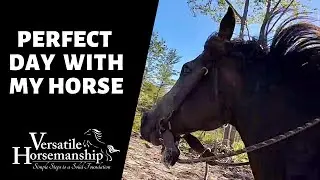 PERFECT DAY WITH MY HORSE // Versatile Horsemanship