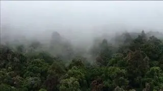 Timelapse of orographic fog in Xitou