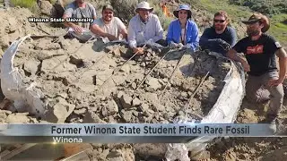 Winona State Alum brings rare fossil to the university