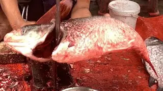I never seen ll amazing big Biket fish cutting Live skills by expert fish cutter in Fishmarket 