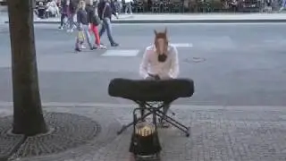 Streetmusic by a horse in Prague