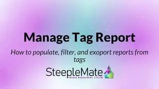 How to populate, filter and export tag reports.