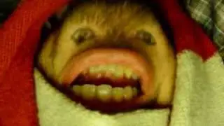 ape-mouth jason.