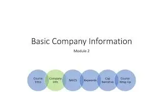 DSBS Lesson 2.0 | Intro to Basic Company Info | Learn Business Development with Neil McDonnell
