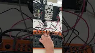 Modular Synth Jam with Behringer Crave + Happy Nerding Fx Aid