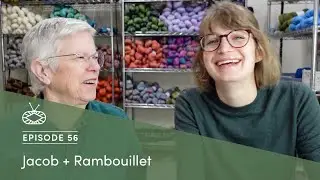 Millcast Episode 56: Jacob + Rambouillet