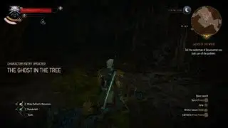 The Witcher 3: Wild Hunt &ndash; Complete Edition The ghost in the tree