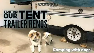 Starting Our Rockwood Trailer Renos! | CAMPING WITH DOGS
