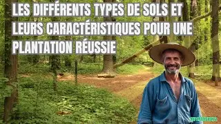 Les diff&eacute;rents types de sols et leurs caract&eacute;ristiques pour une plantation r&eacute;ussie