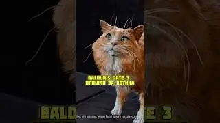 🐈 ДО ФИНАЛА ЗА КОТА в BALDUR&rsquo;S GATE 3 🐈 #baldursgate3 #rpg